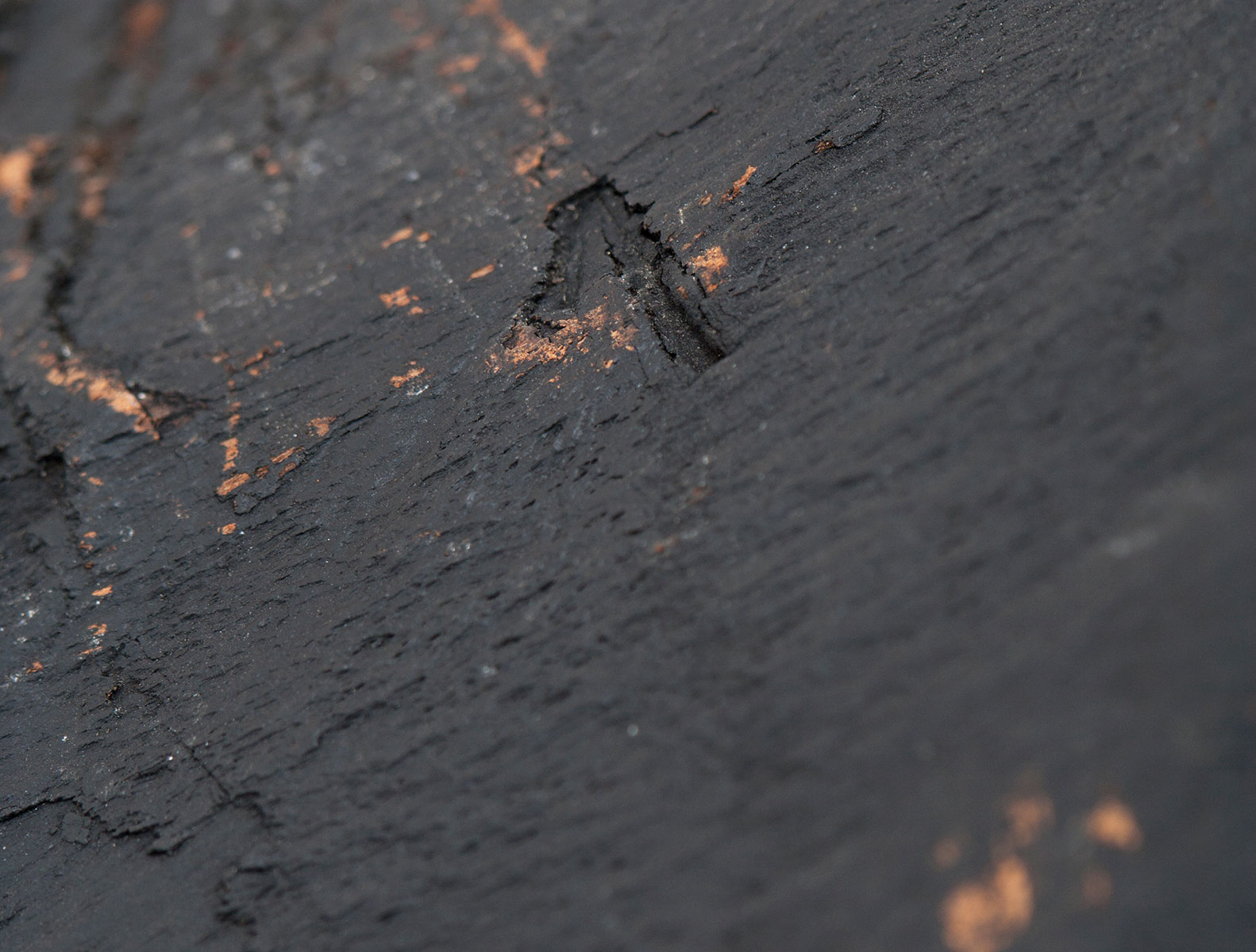 1164 carl aubock ed 1 patrick parrish 0006