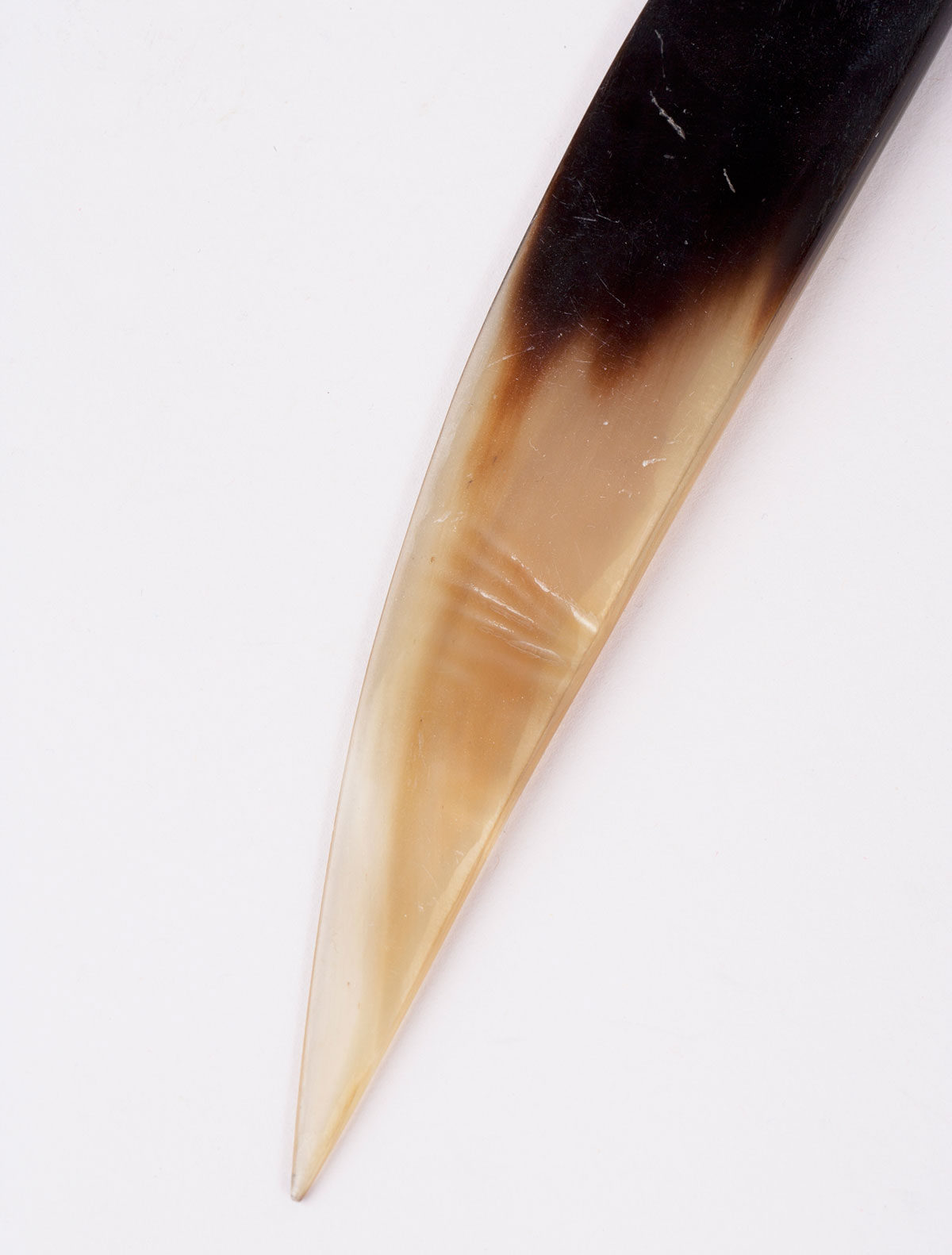 1647 carl aubock 2015 patrick parrish 0009