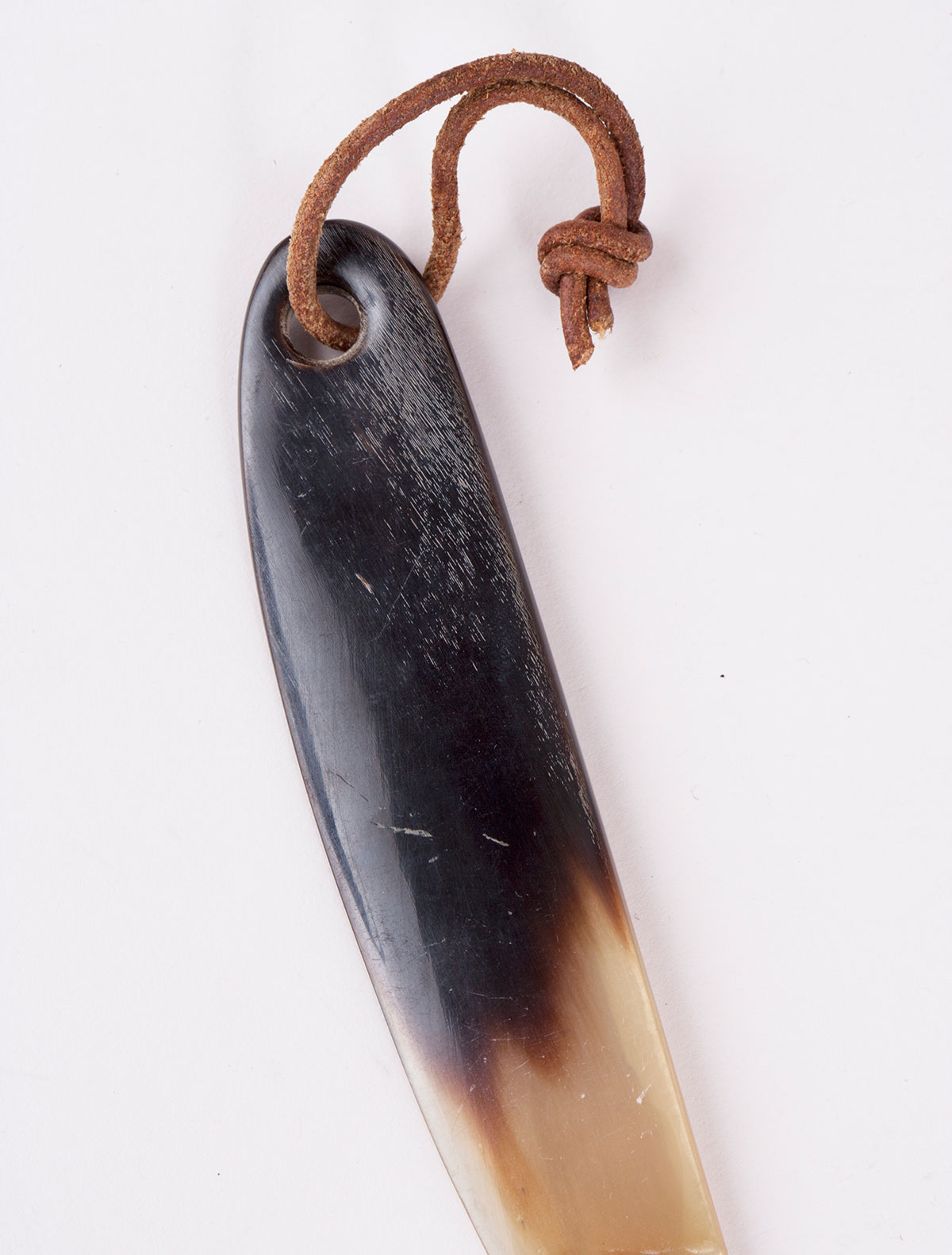 1648 carl aubock 2015 patrick parrish 0010