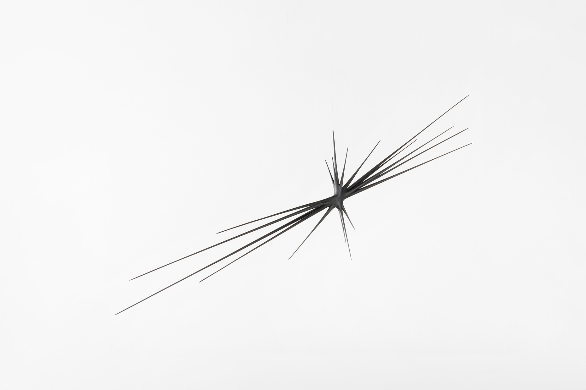 1772 G5 A8384 resized