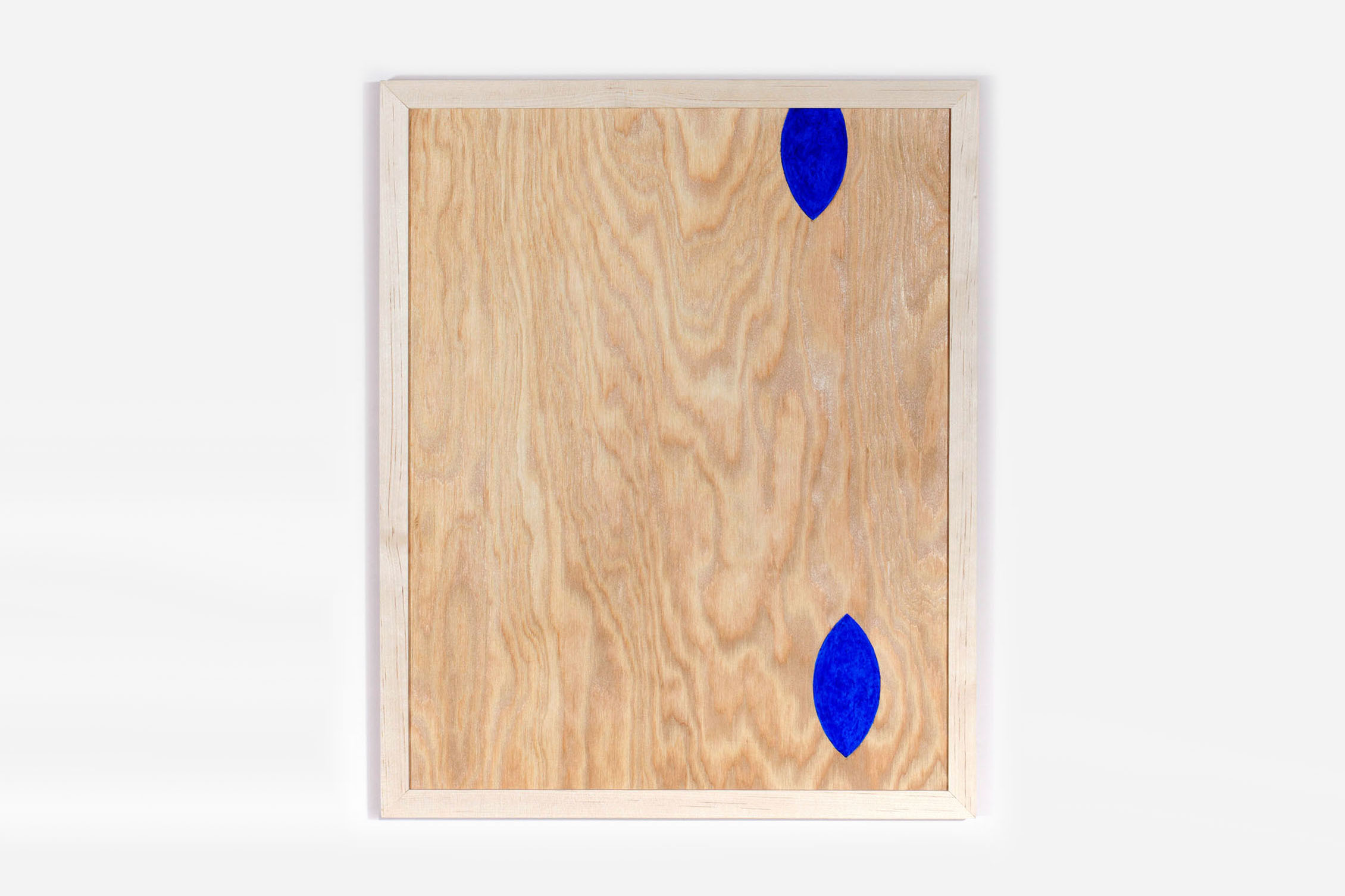 3589 XB2 W2446 resized