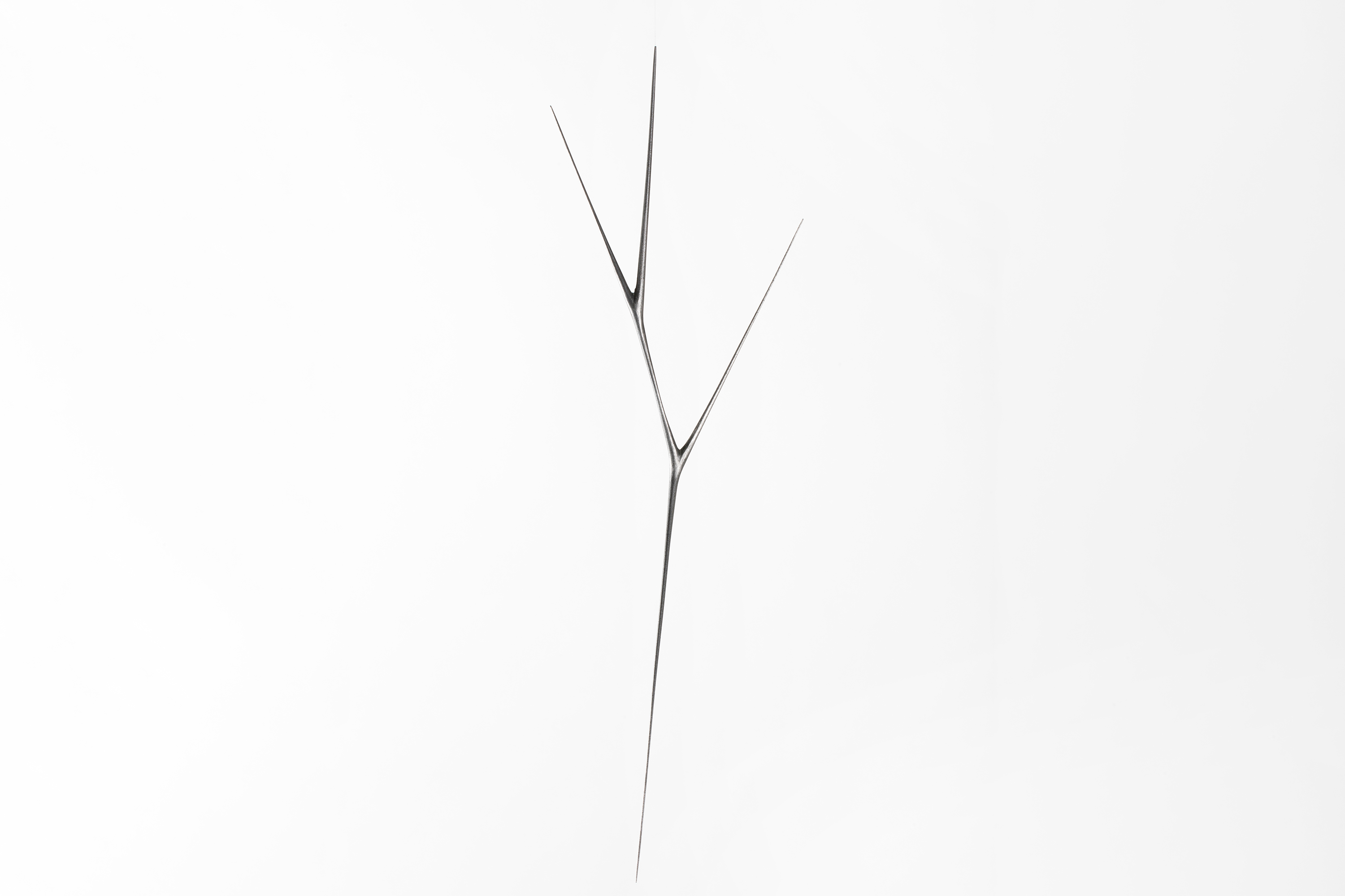 8324 G5 A8479 resized